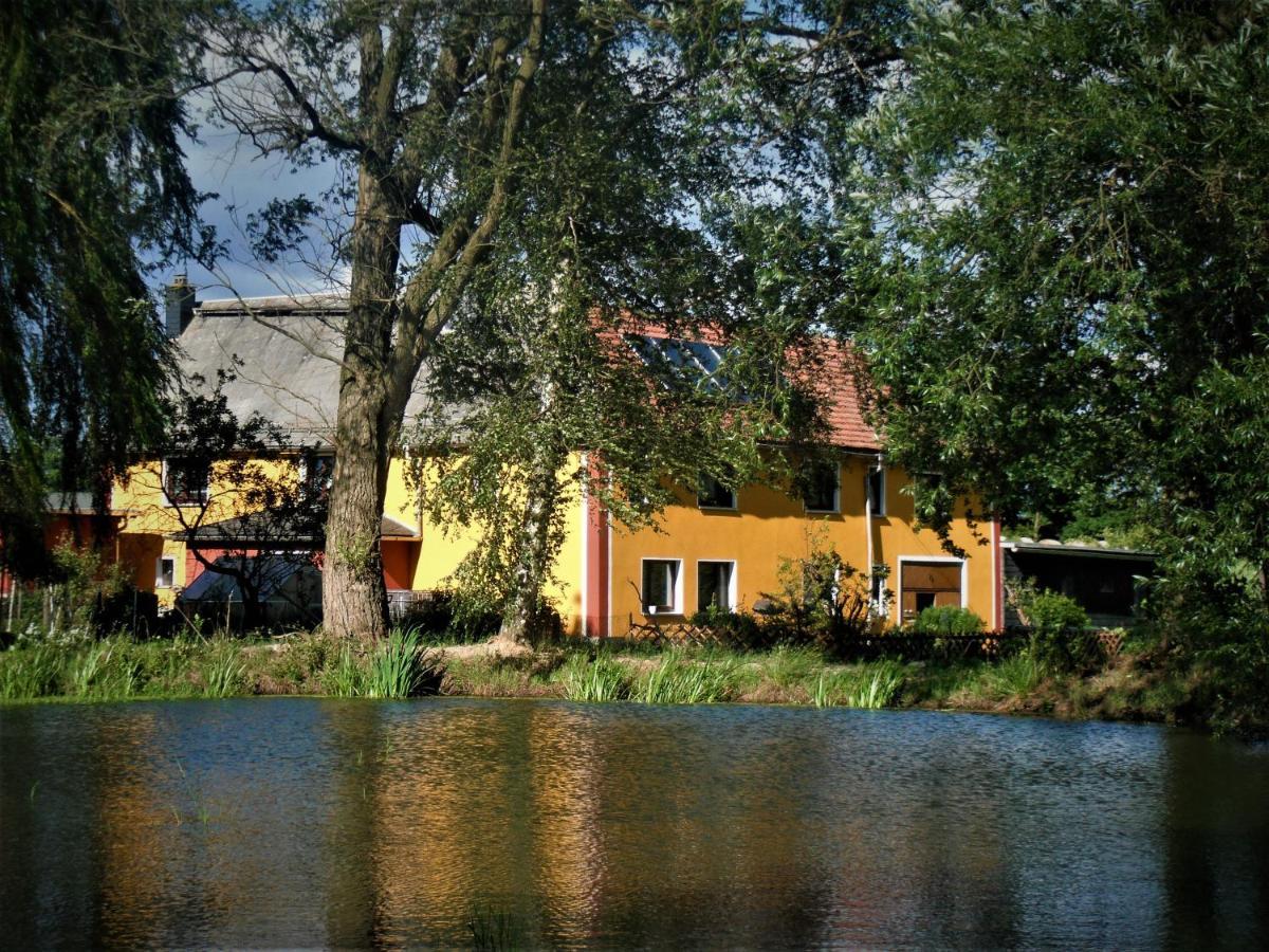 Ferienhof Im Gruenen Herzen Dittersdorf Екстер'єр фото