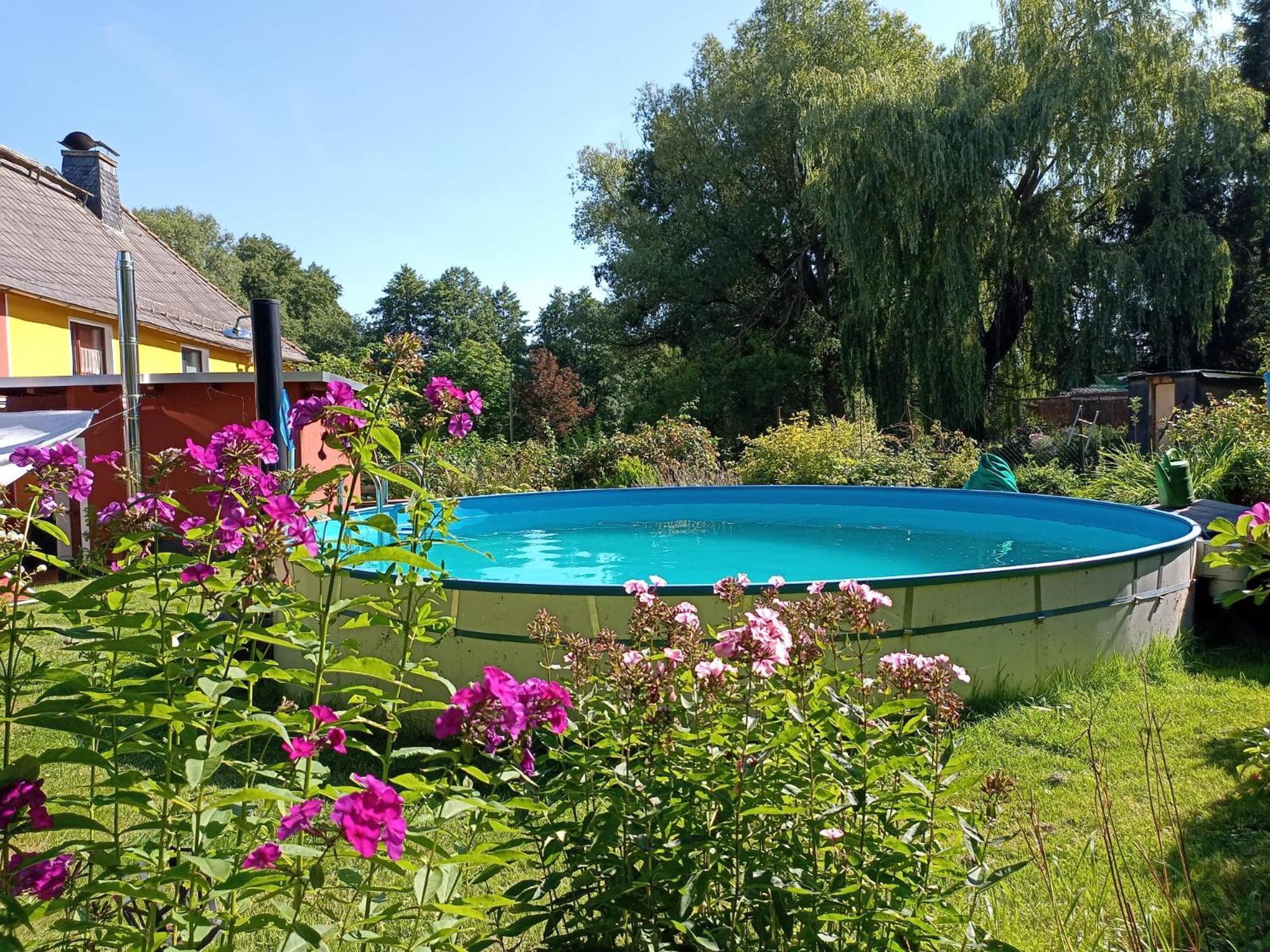 Ferienhof Im Gruenen Herzen Dittersdorf Екстер'єр фото