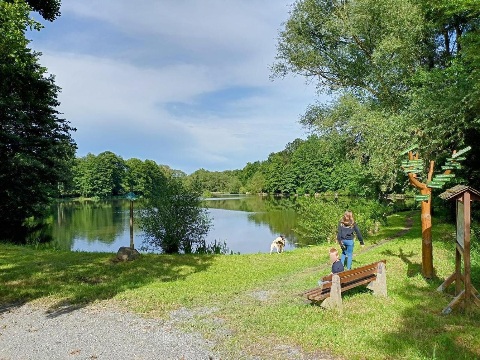 Ferienhof Im Gruenen Herzen Dittersdorf Екстер'єр фото